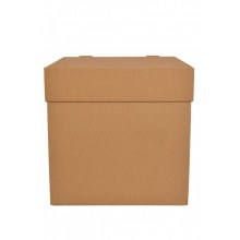 Kraft Pasta Kutu 30*30*30 10 Lu Kraft Pasta Kutu 30*30*30 10 Lu